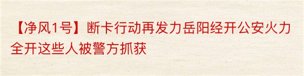 【净风1号】断卡行动再发力岳阳经开公安火力全开这些人被警方抓获