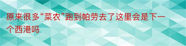 原来很多“菜农”跑到帕劳去了这里会是下一个西港吗