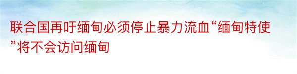 联合国再吁缅甸必须停止暴力流血“缅甸特使”将不会访问缅甸