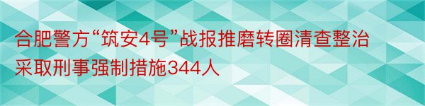 合肥警方“筑安4号”战报推磨转圈清查整治采取刑事强制措施344人