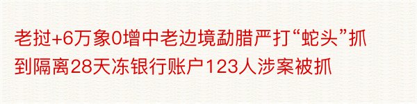 老挝+6万象0增中老边境勐腊严打“蛇头”抓到隔离28天冻银行账户123人涉案被抓