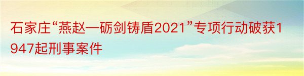 石家庄“燕赵—砺剑铸盾2021”专项行动破获1947起刑事案件