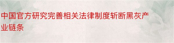 中国官方研究完善相关法律制度斩断黑灰产业链条